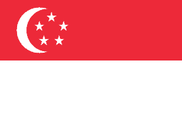 Singapore Flag for iTunes Customer